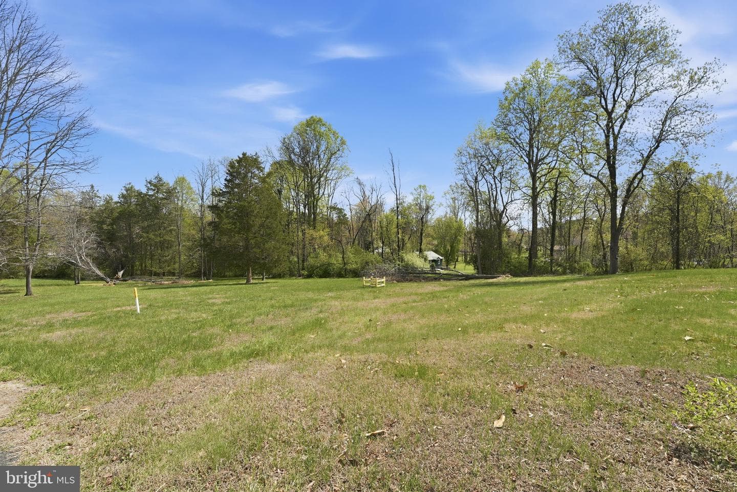 10757 Tullamore Court photo 36