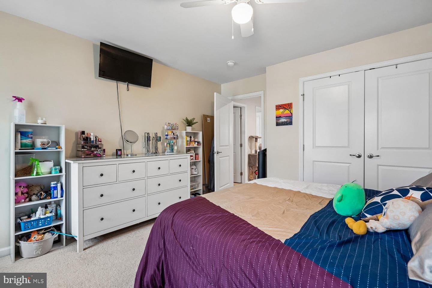 12845 Hoadly Manor Drive photo 43