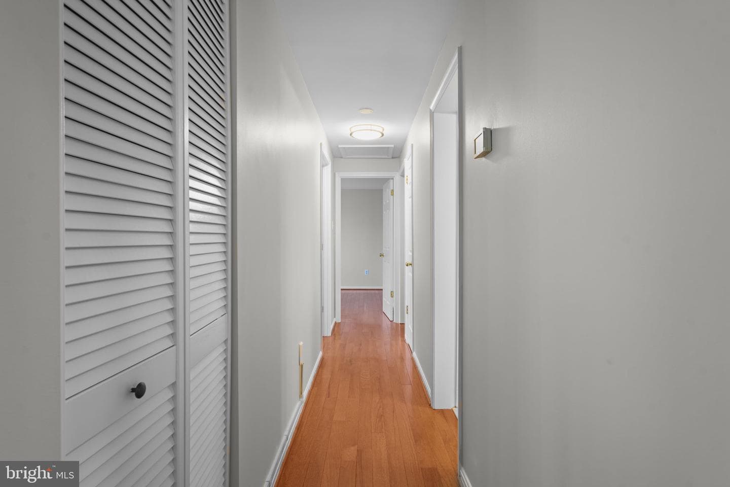 8118 Whitting Drive photo 15