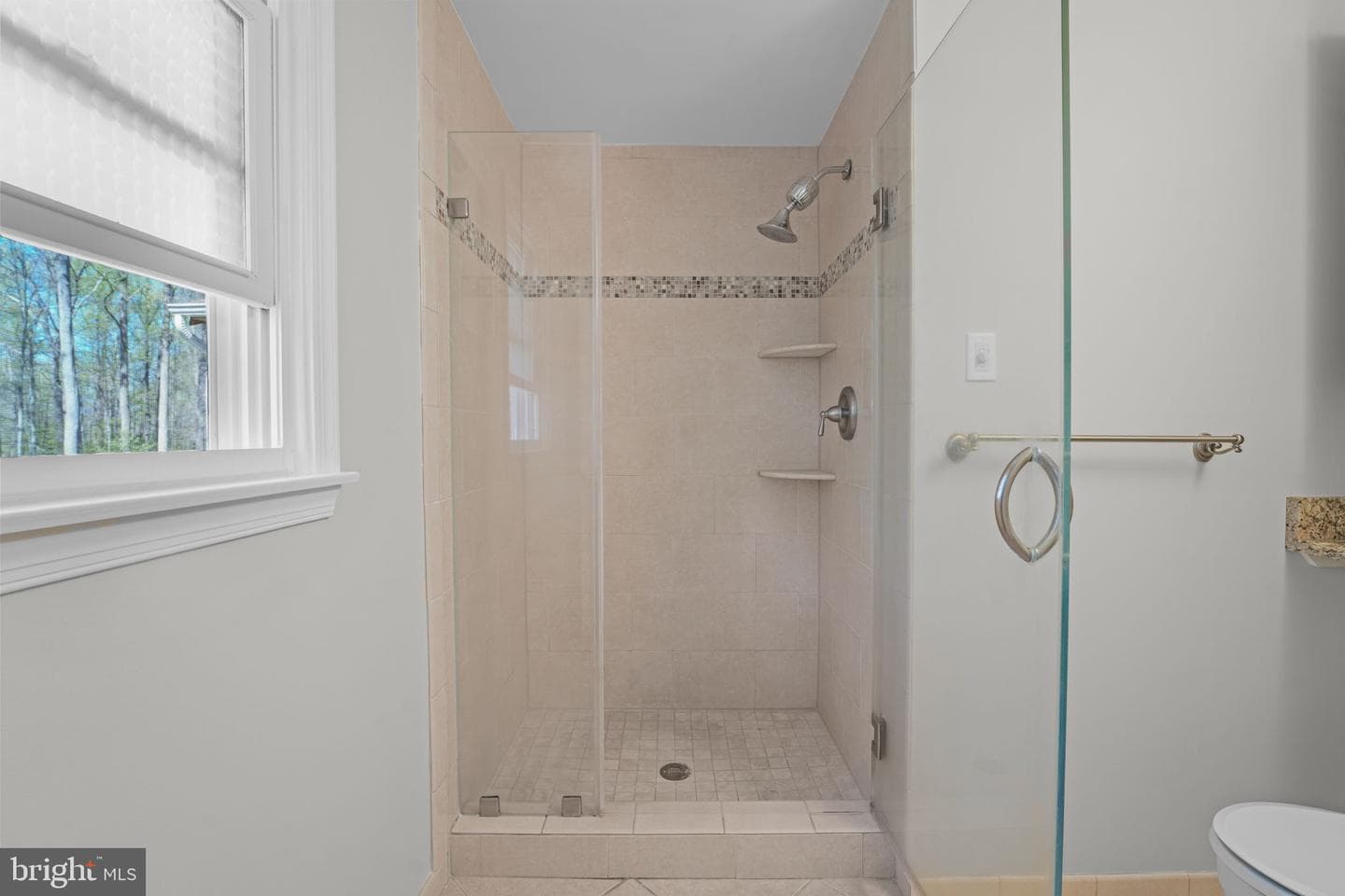 8118 Whitting Drive photo 22