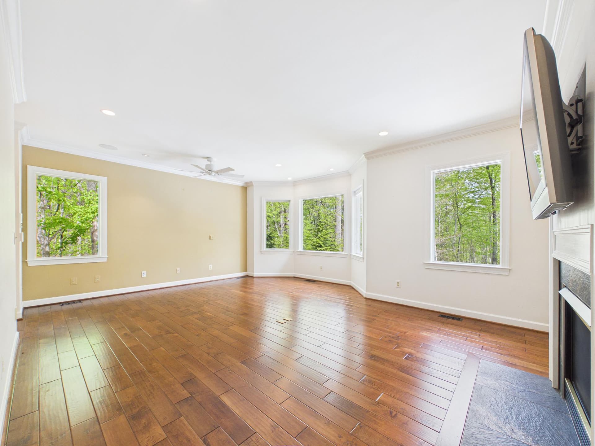 7972 Pinnacle Ridge Drive photo 21