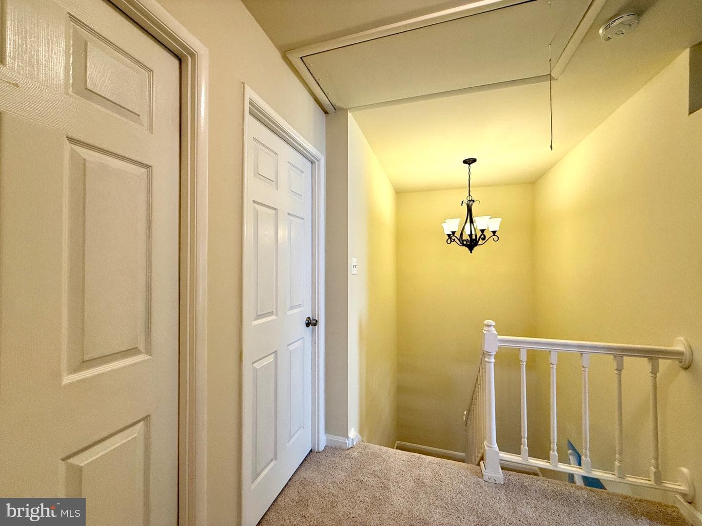 7537 Clemson Court photo 13