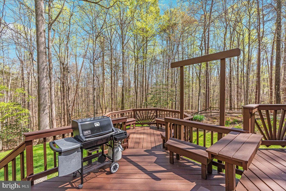 11671 Sandal Wood Lane photo 49
