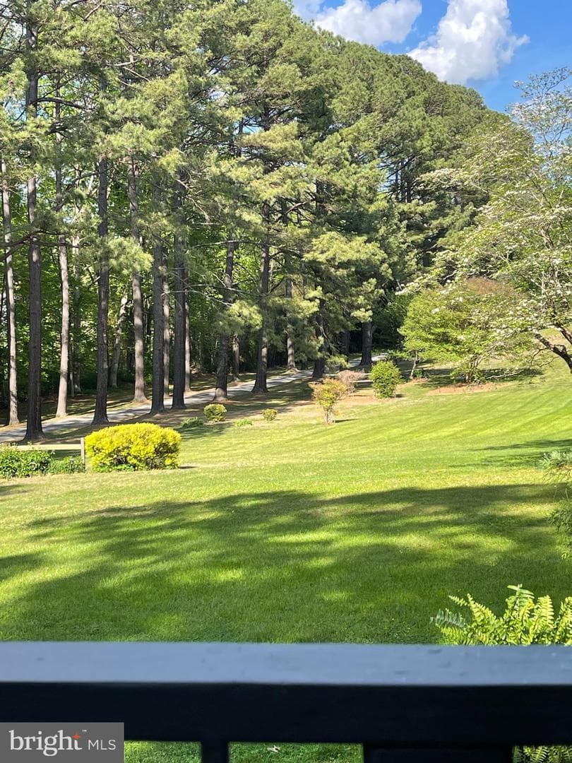 10804 Lake Jackson Drive photo 4