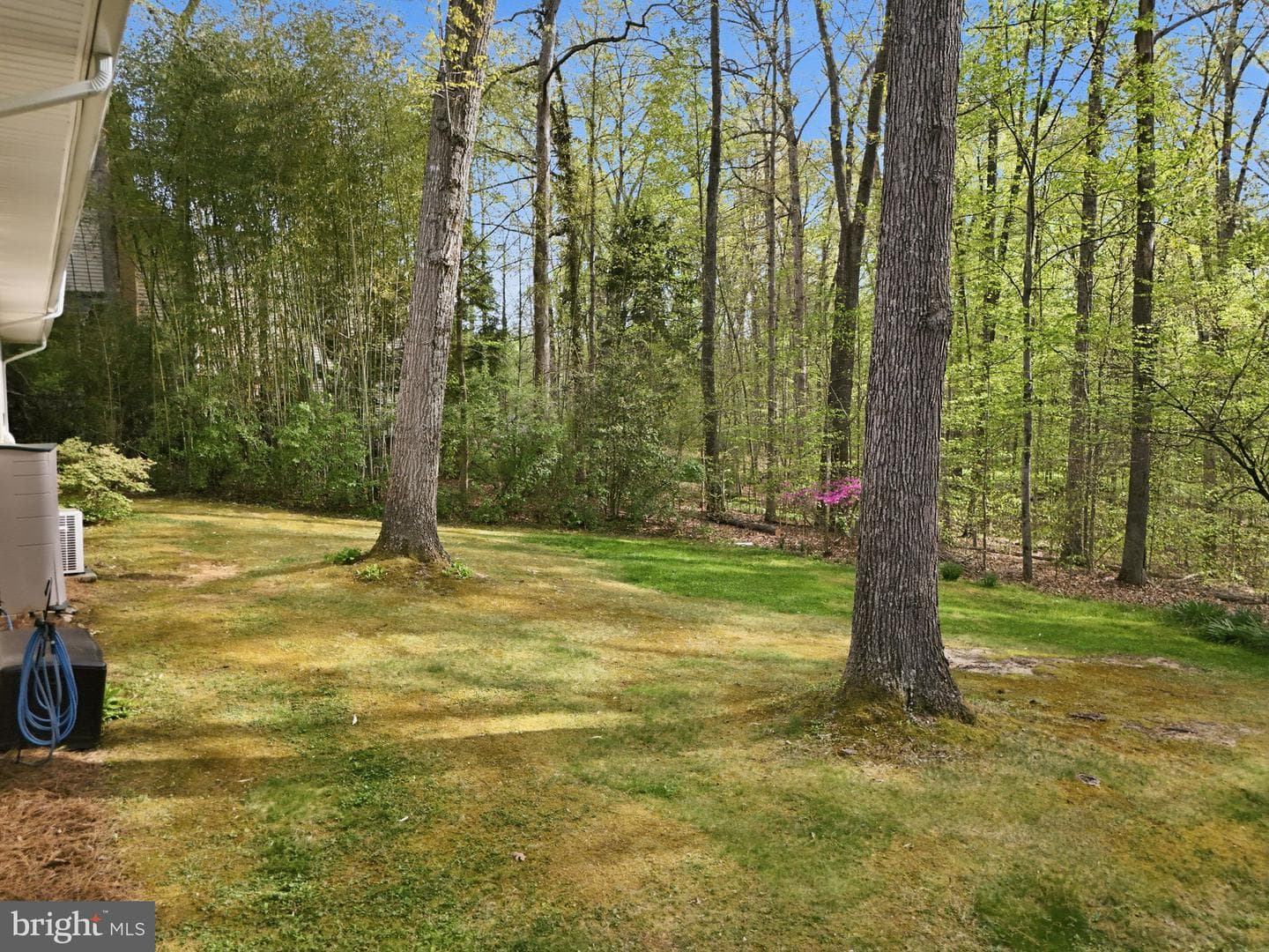 10804 Lake Jackson Drive photo 73