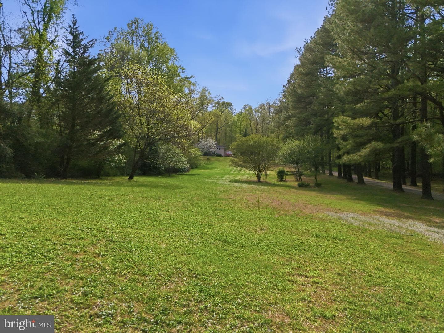 10804 Lake Jackson Drive photo 85