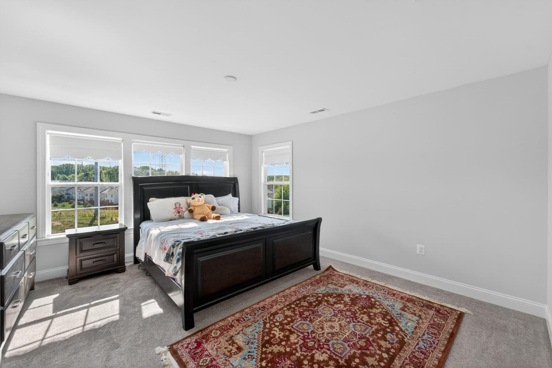 15342 Ballerina Loop photo 19