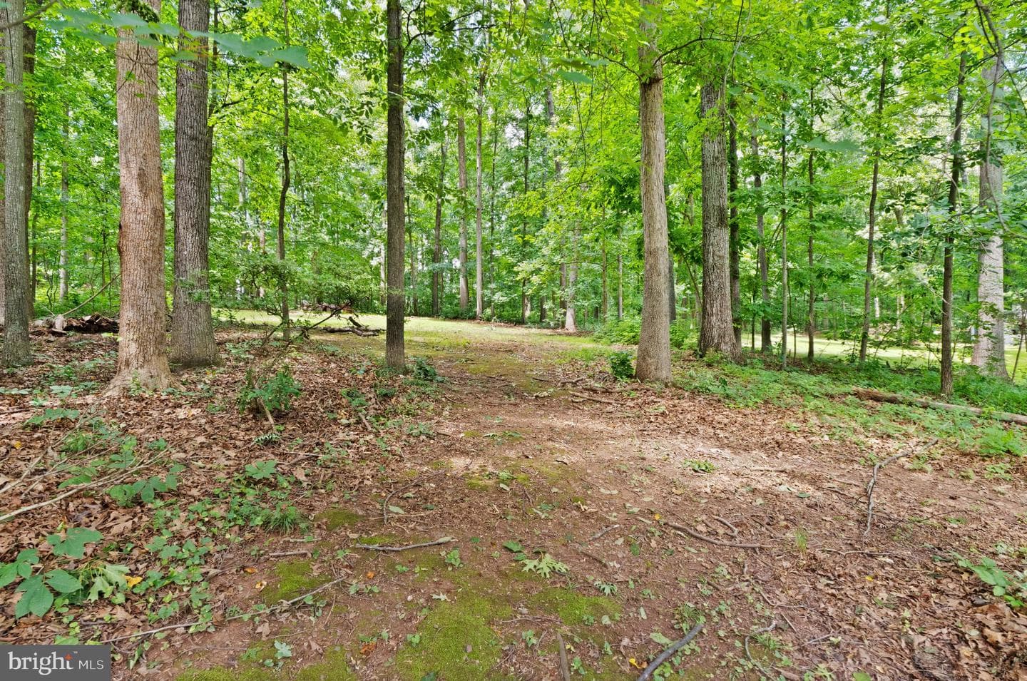 4560 Lynn Forest Drive photo 73