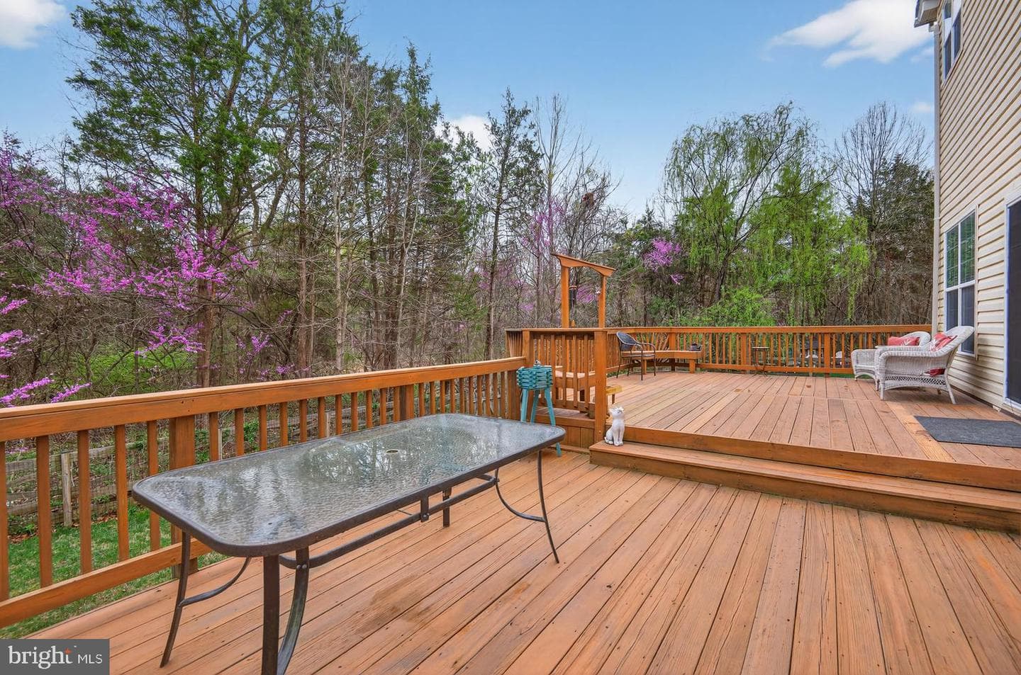 10029 Bonnykelly Court photo 40