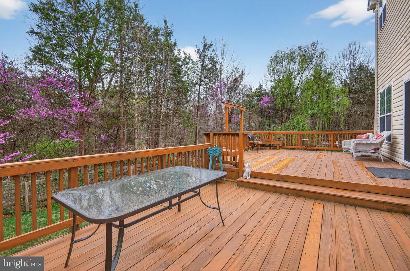 10029 Bonnykelly Court photo 41