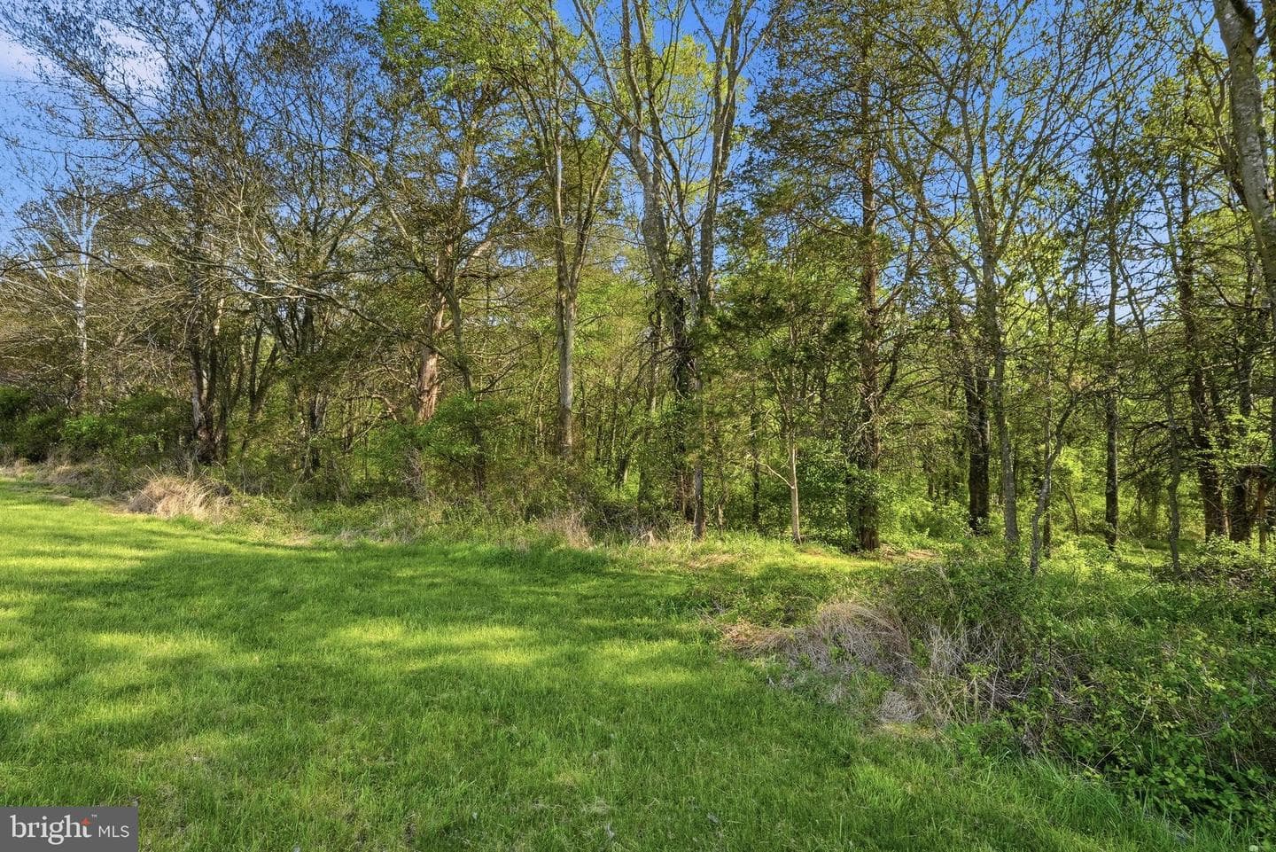 12830 Slate Bridge Court photo 57