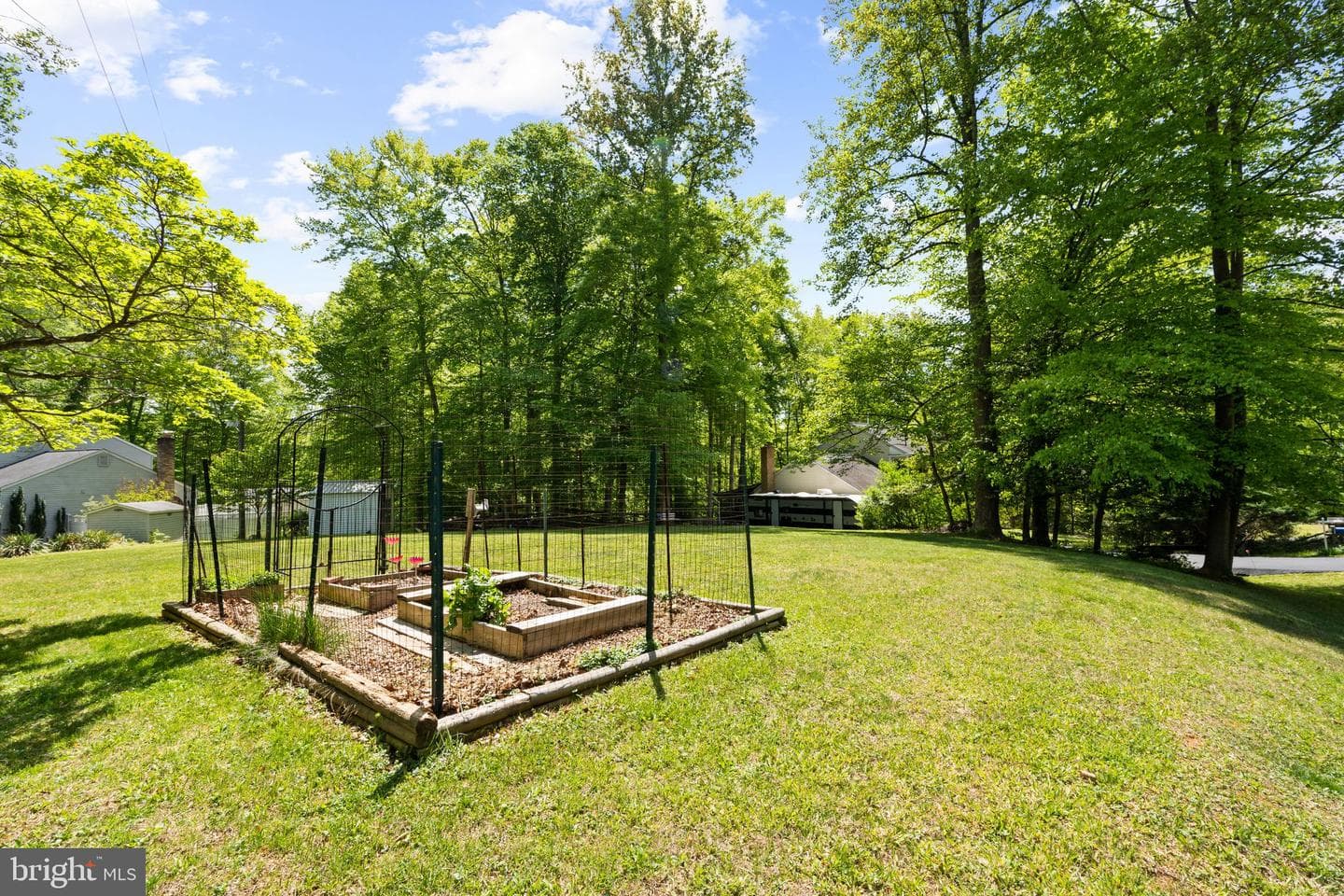 11913 Falling Creek Drive photo 116