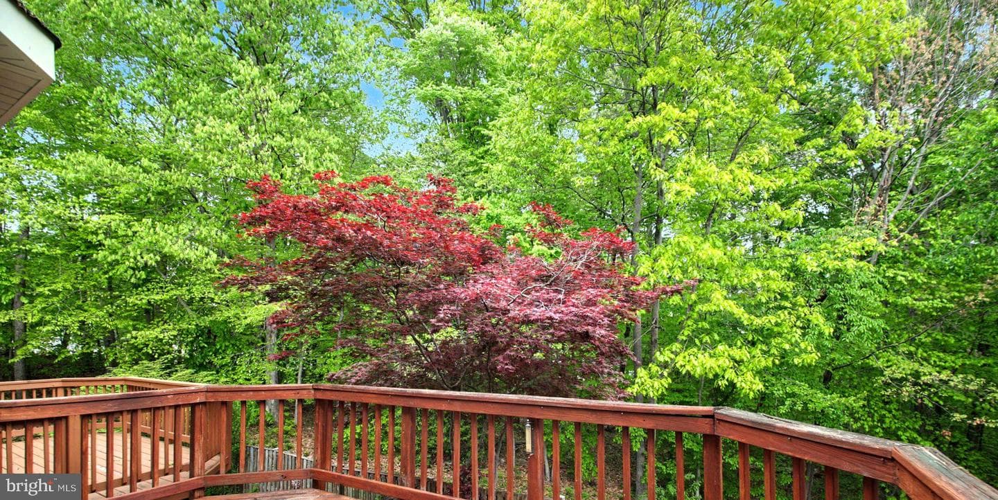 3263 Corcyra Court photo 25