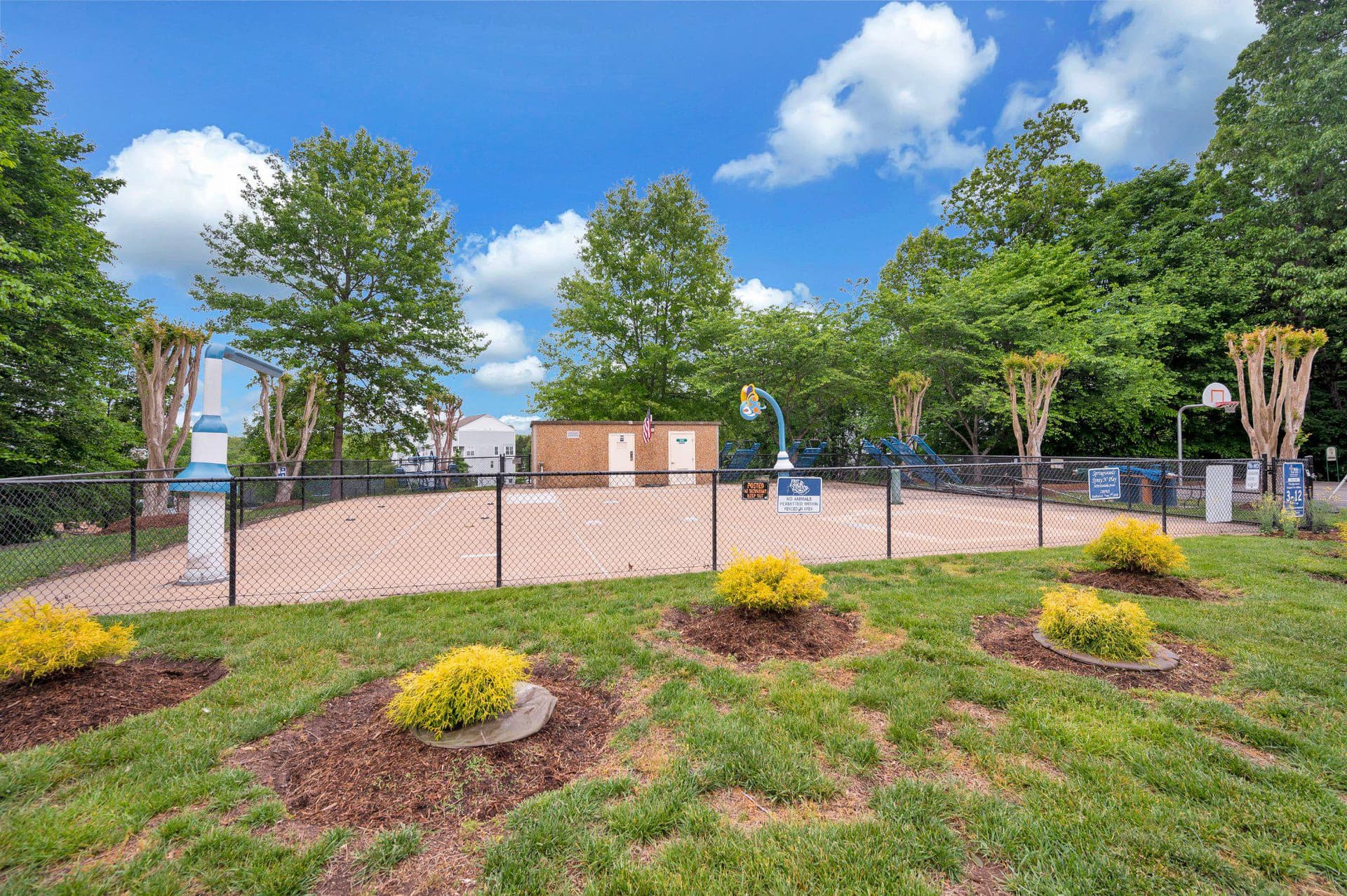 11539 Bertram Street photo 57