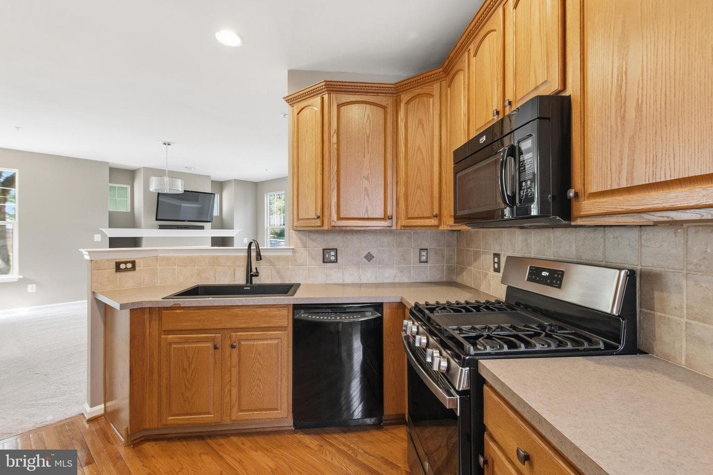 10017 Pentland Hills Way photo 11