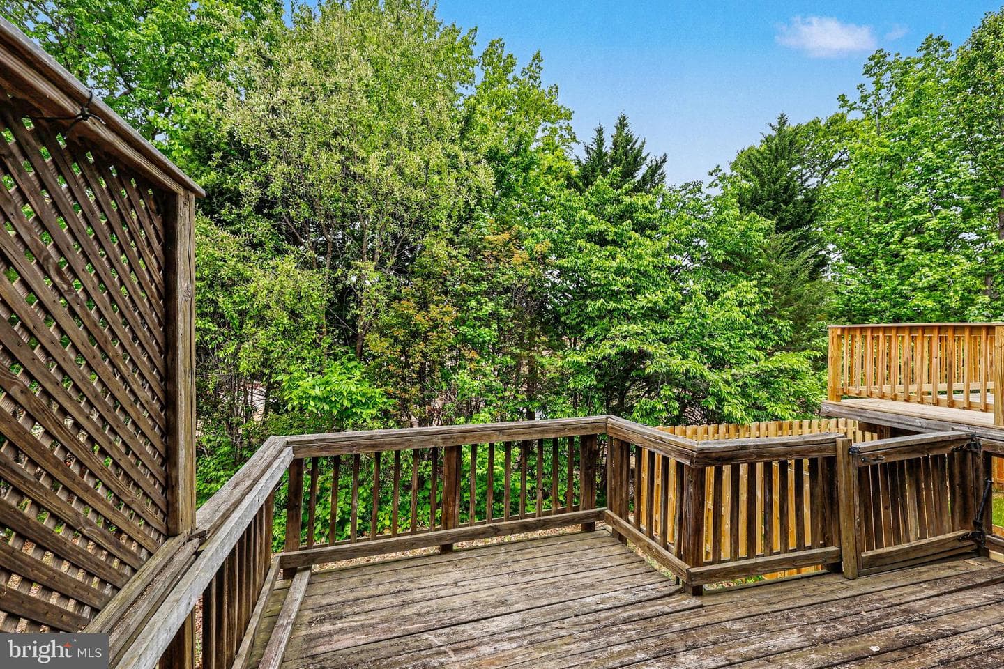 3362 Vineland Place photo 21