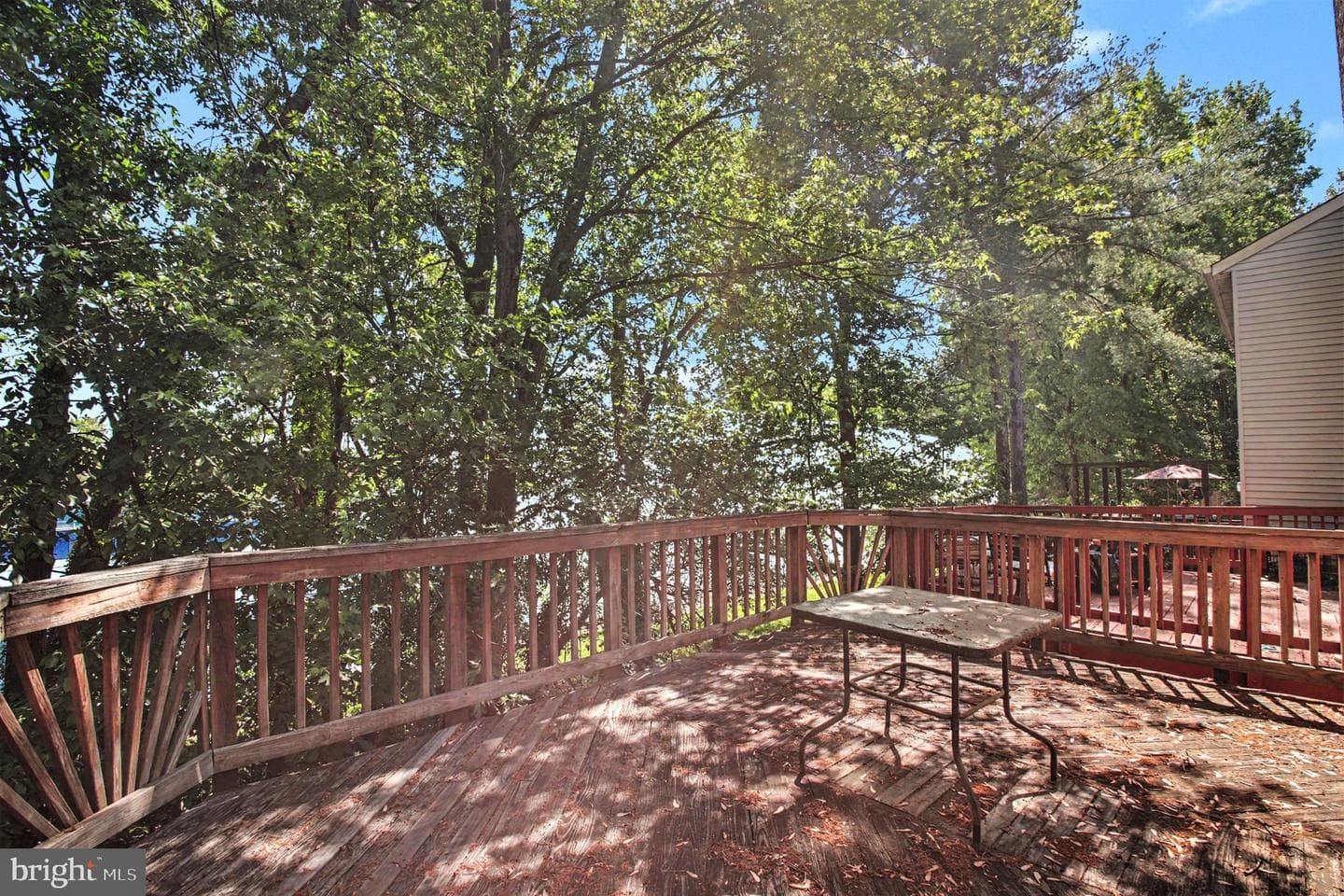 16125 Alexander Place photo 23