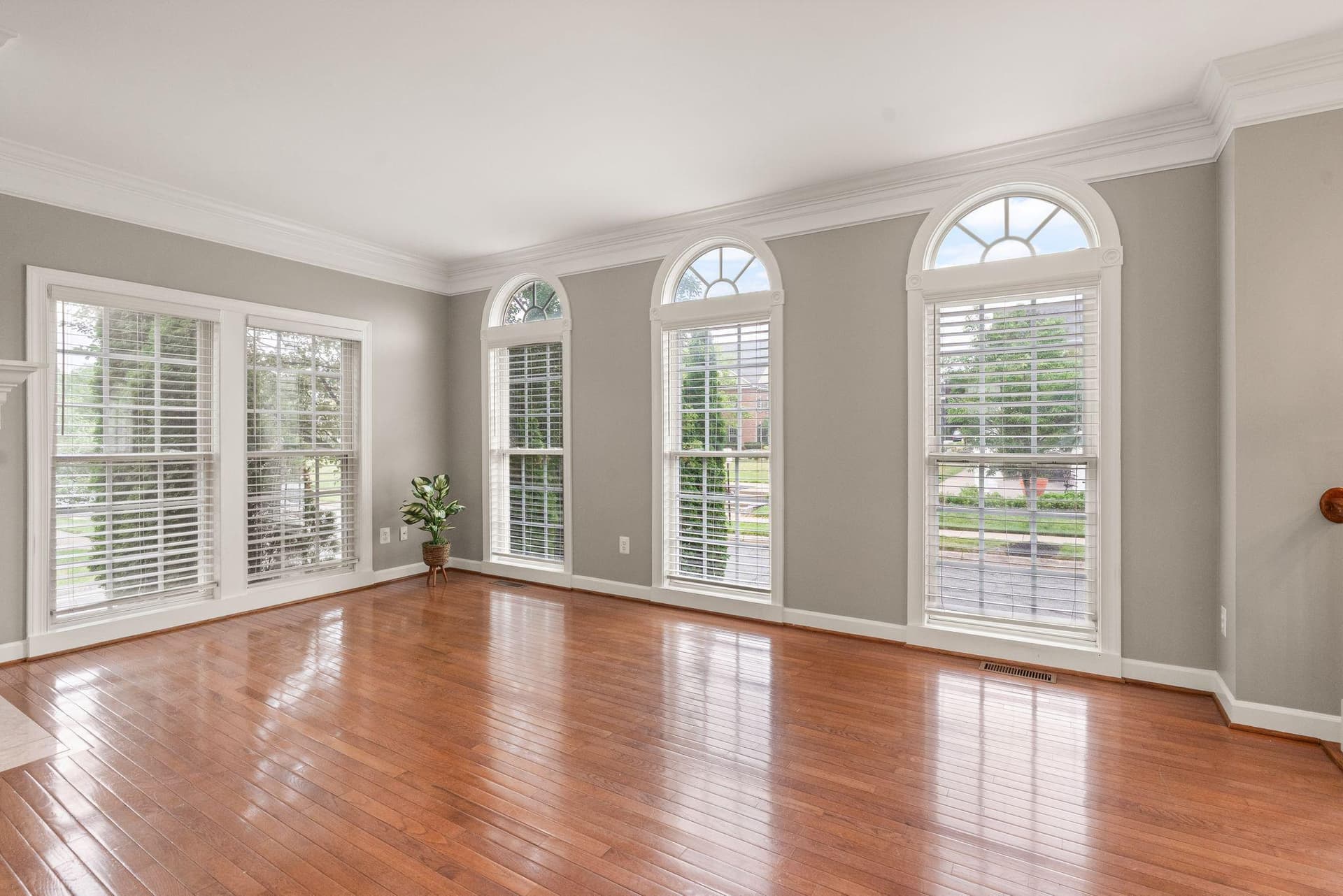 13011 Jadestone Way photo 10