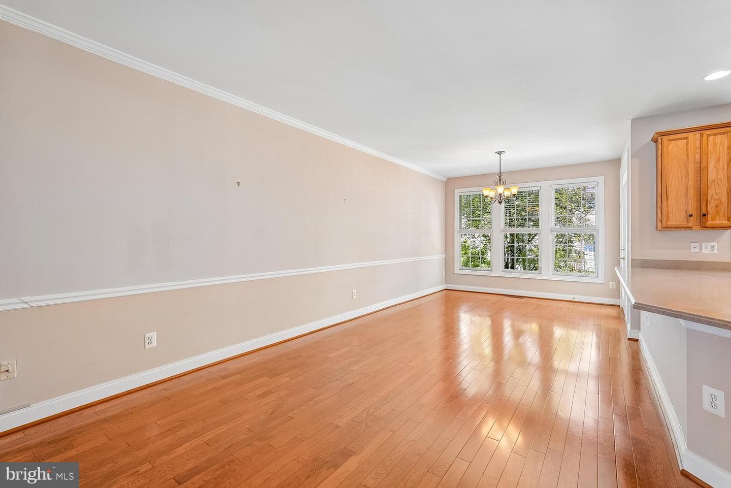 6898 Witton Circle photo 23