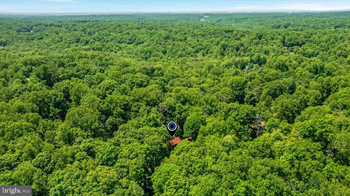 7231 Kings Arm Drive photo 64