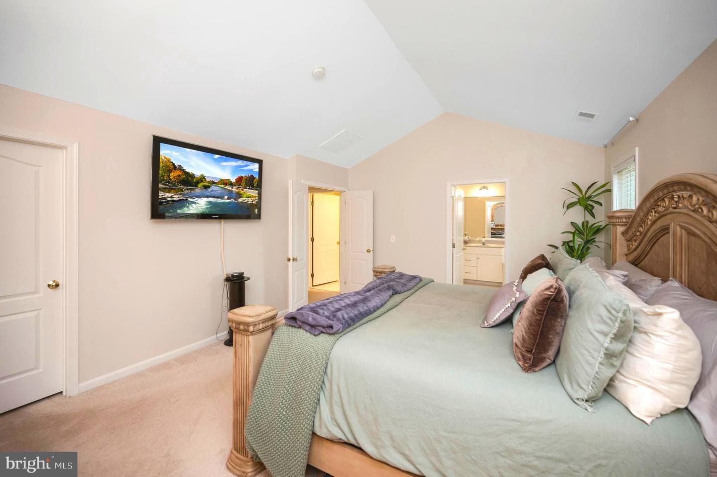 15829 Fourmile Creek Court photo 33