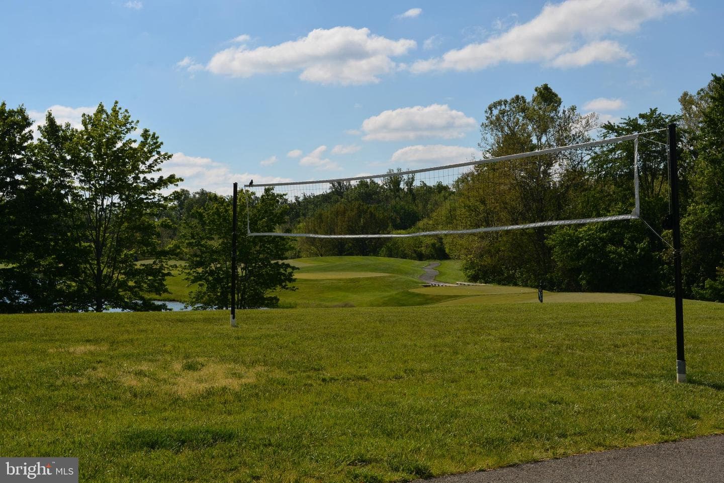 15829 Fourmile Creek Court photo 72