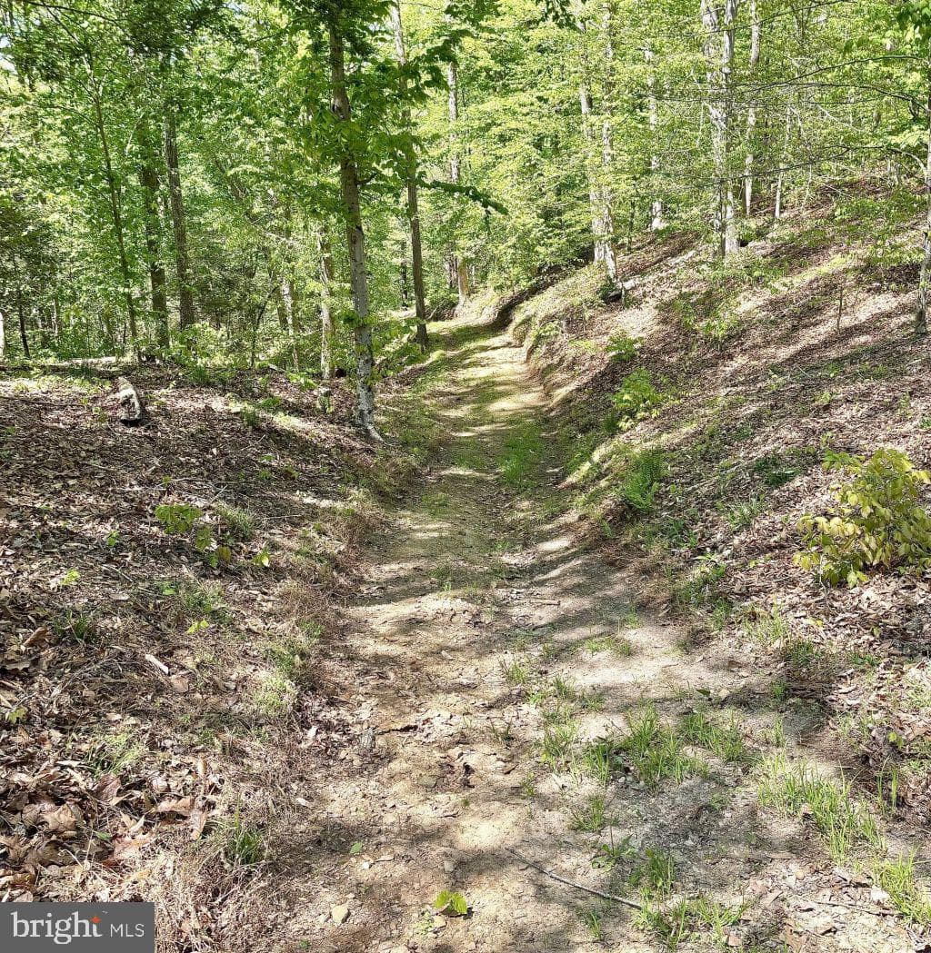 6930 Stethem Court photo 41