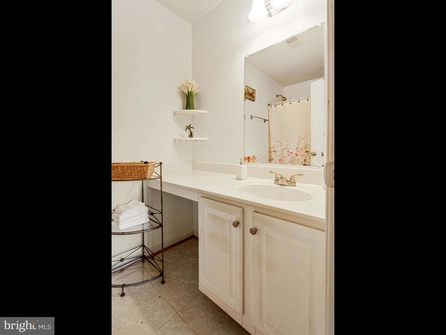 13538 Colesmire Gate Way photo 19