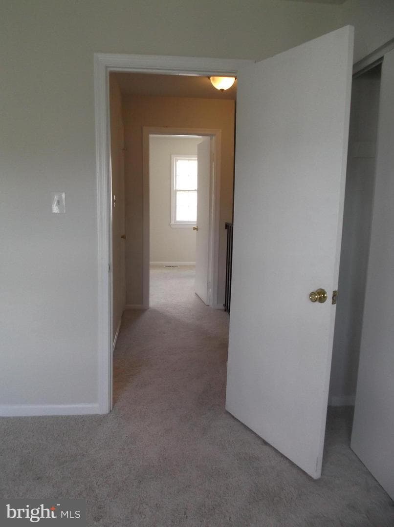 4624 Whitaker Place photo 19