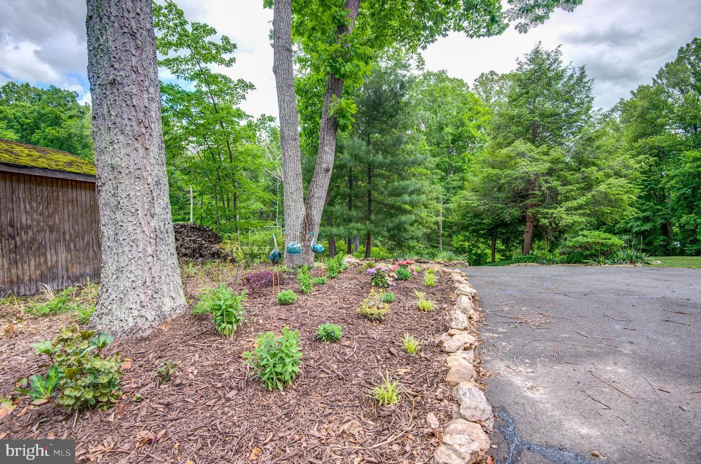 10116 Evans Ford Road photo 59