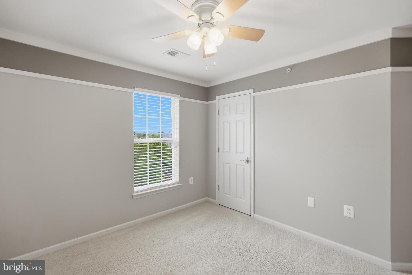 6275 Woodruff Springs Way photo 29
