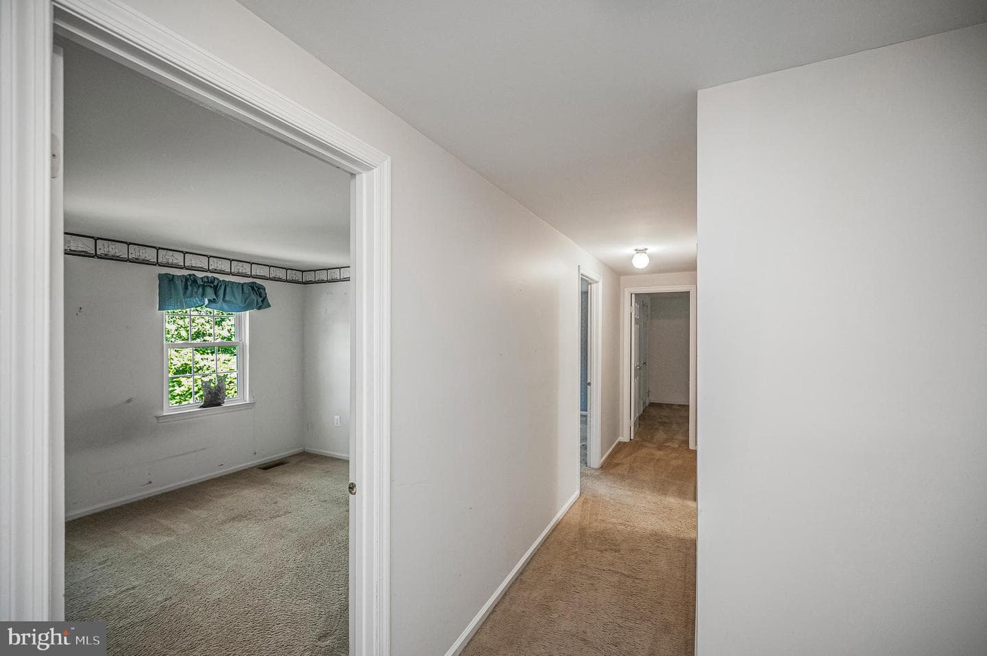 11837 Parliament Drive photo 28
