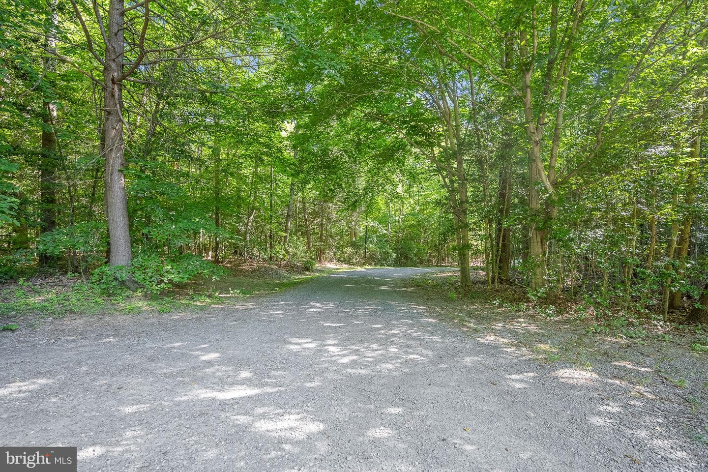 6153 River Forest Drive photo 54