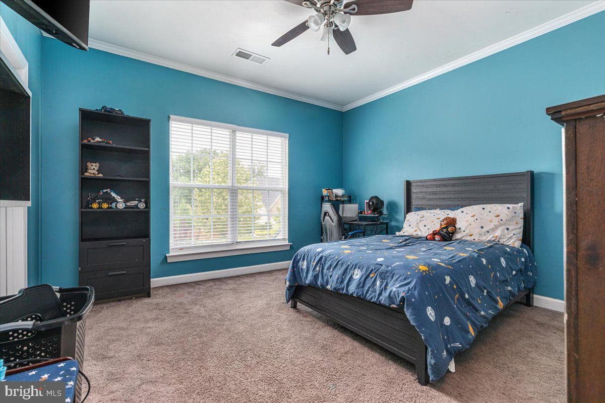 12137 Hickory Falls Court photo 47