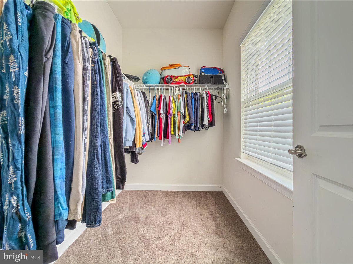 12137 Hickory Falls Court photo 49