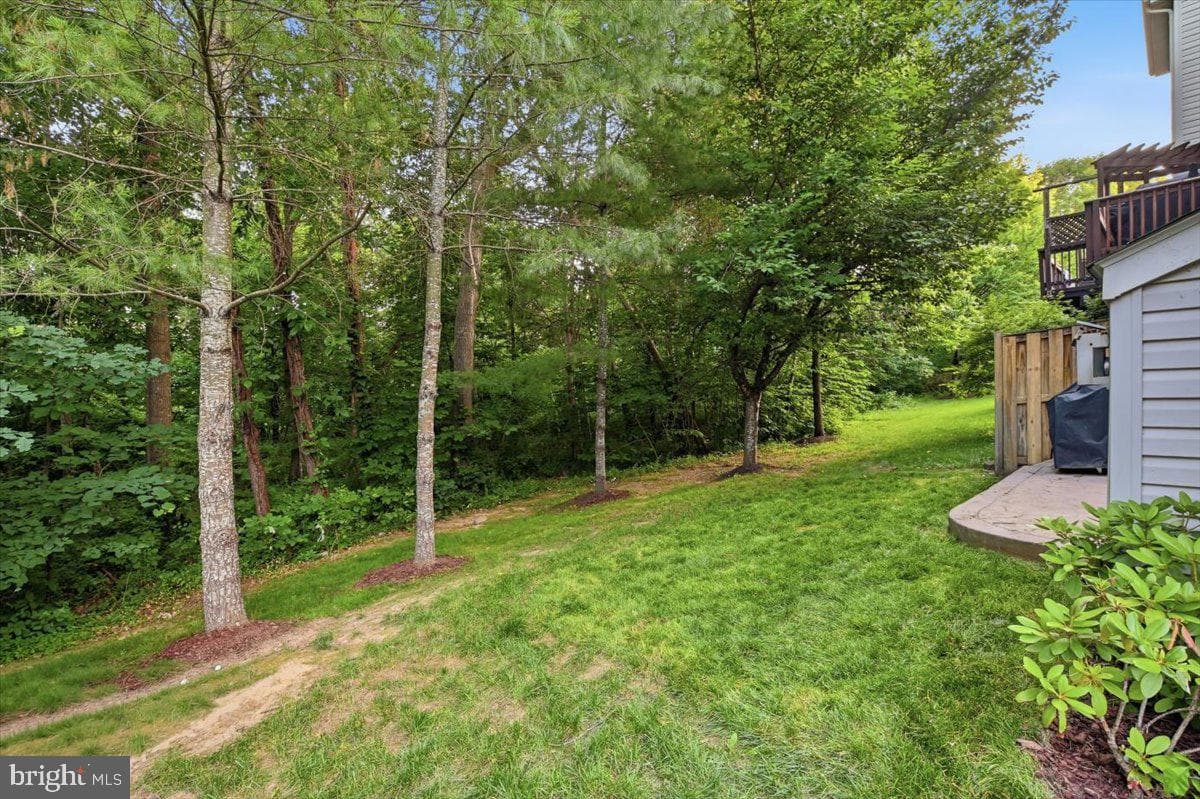 12827 Wishing Well Way photo 42