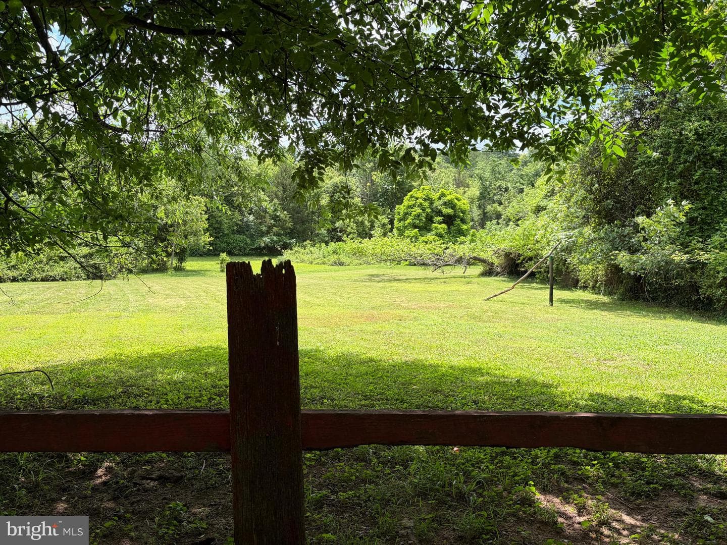 10023 Lake Jackson Drive photo 30
