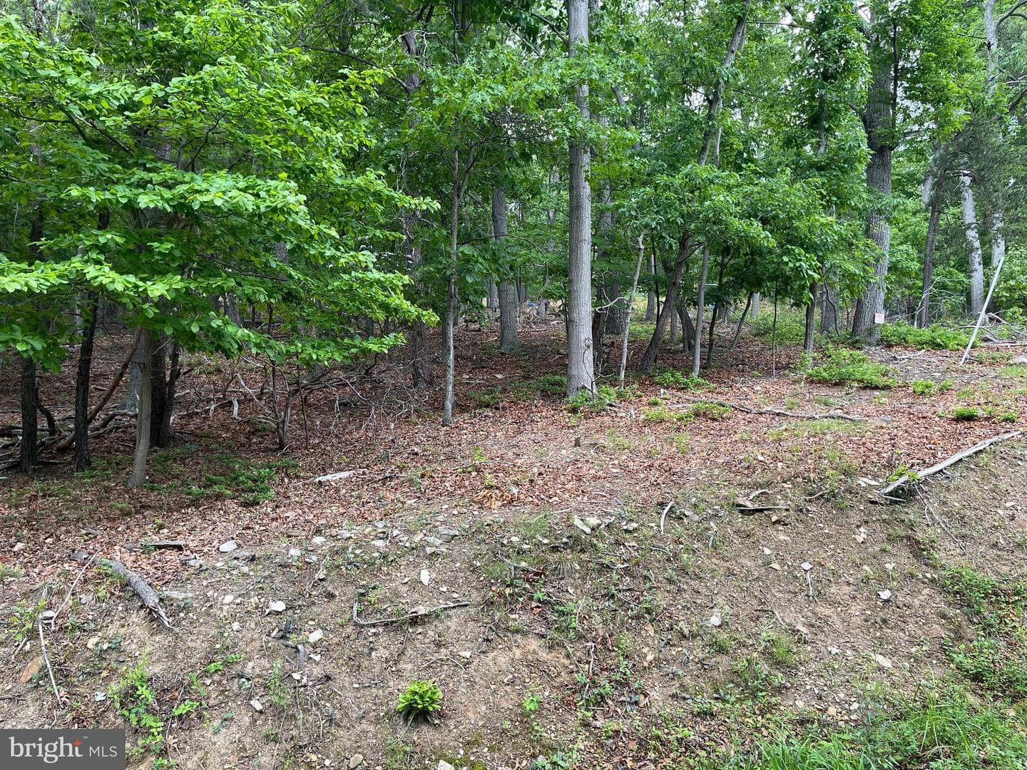 16207 Sumney Drive photo 11
