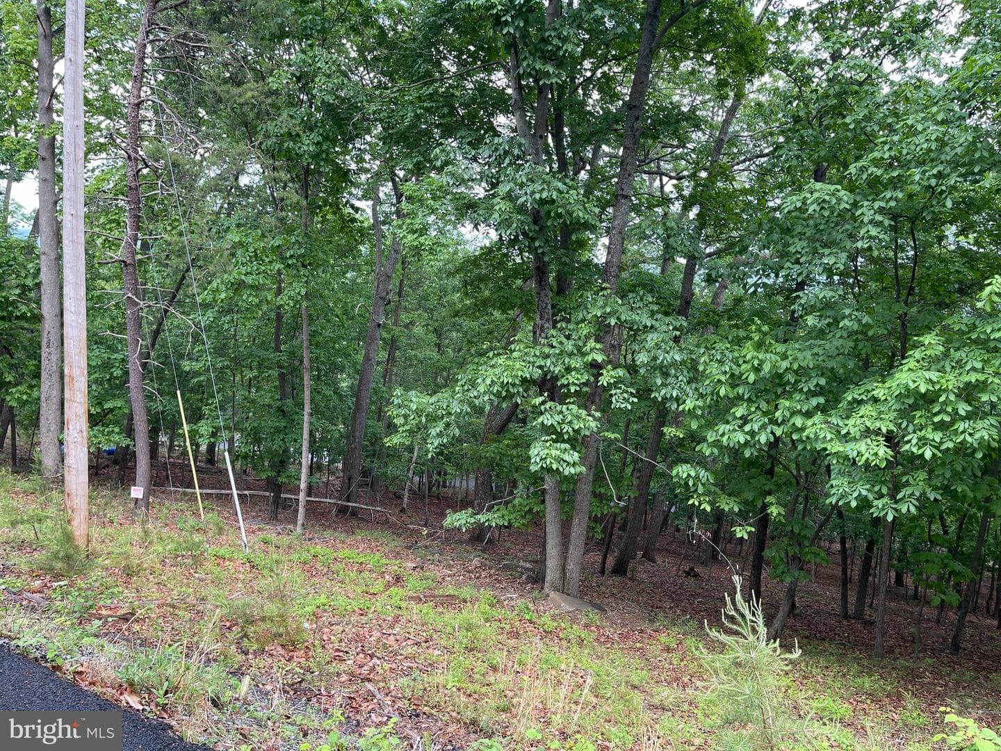 16207 Sumney Drive photo 7