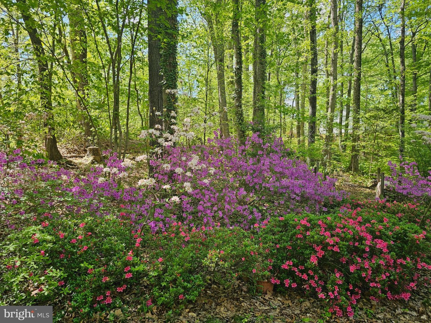 13437 Bristow Road photo 55