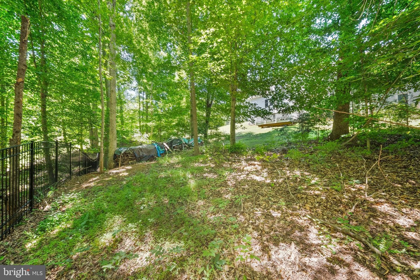 11677 Kahns Road photo 77