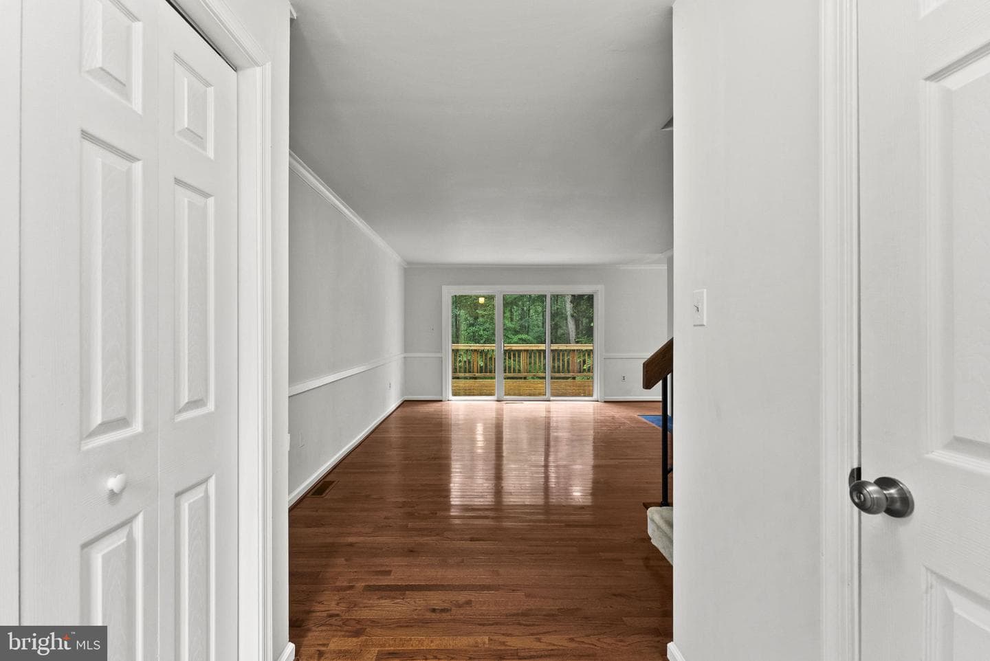 2597 Tree House Drive photo 4