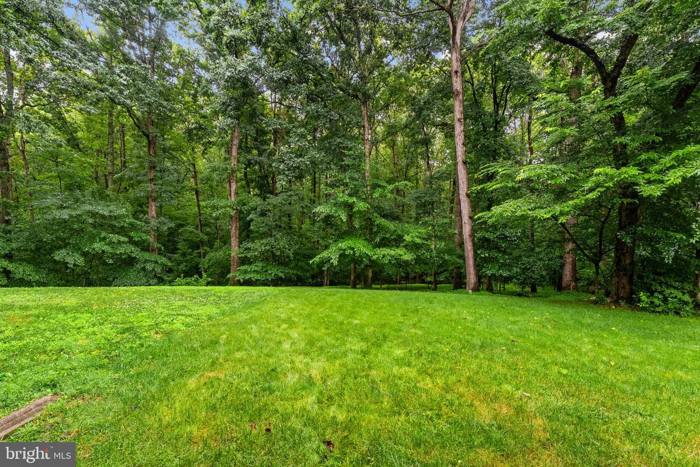 2597 Tree House Drive photo 59