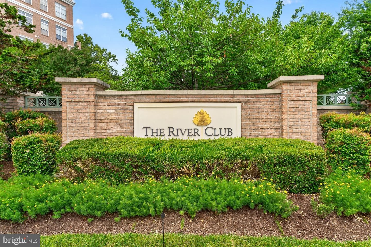 810 Belmont Bay Drive #204 photo 18
