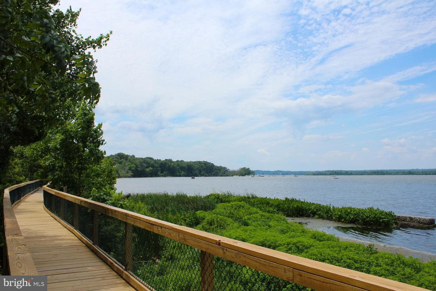 810 Belmont Bay Drive #204 photo 31