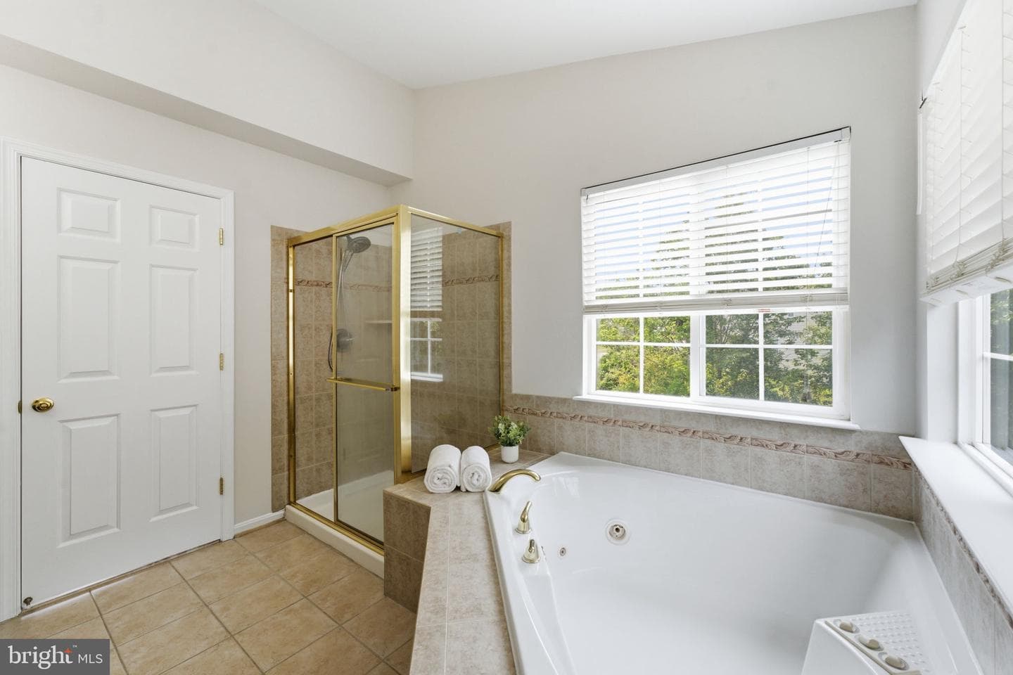 12016 Paper Birch Lane photo 53