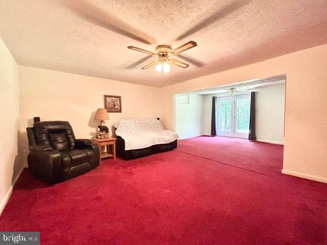 6512 Basil Court photo 26
