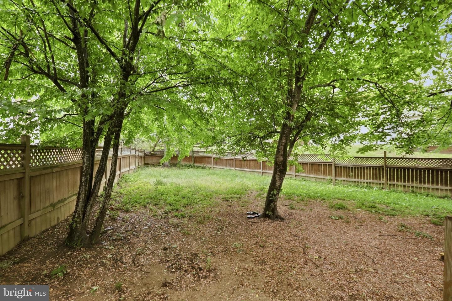 4306 Candlestick Court photo 35