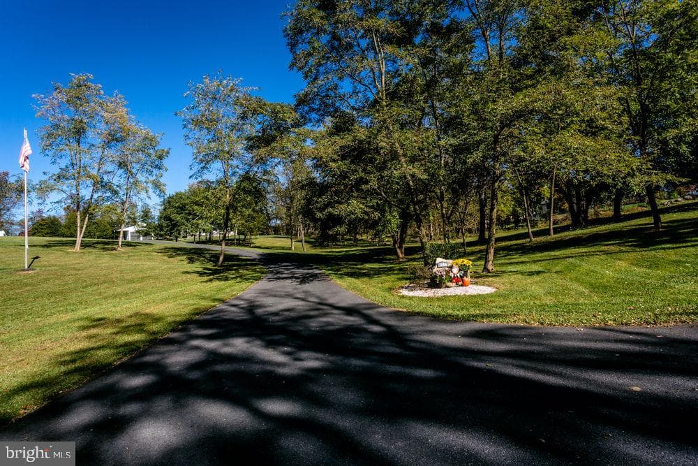 3606 Winsinger Drive photo 49