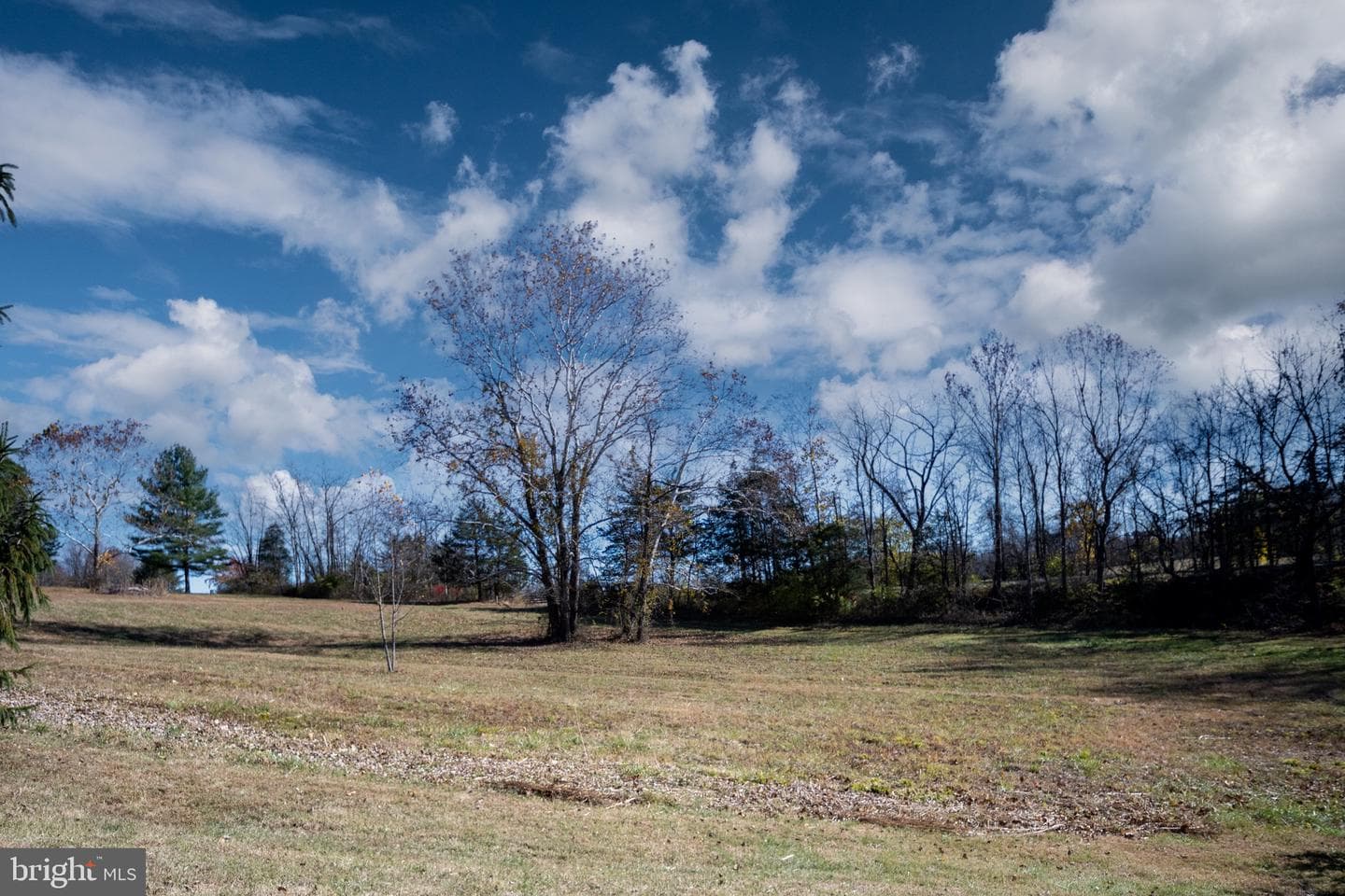 560 Richmond Road photo 135